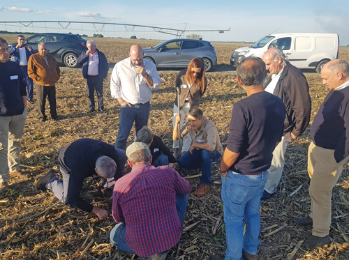 Agricultura regenerativa em foco